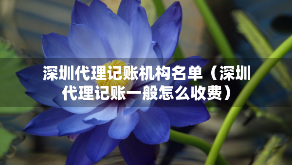 深圳代理記賬機(jī)構(gòu)名單（深圳代理記賬一般怎么收費(fèi)）
