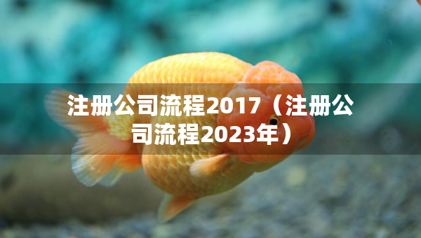 注冊(cè)公司流程2017（注冊(cè)公司流程2023年）