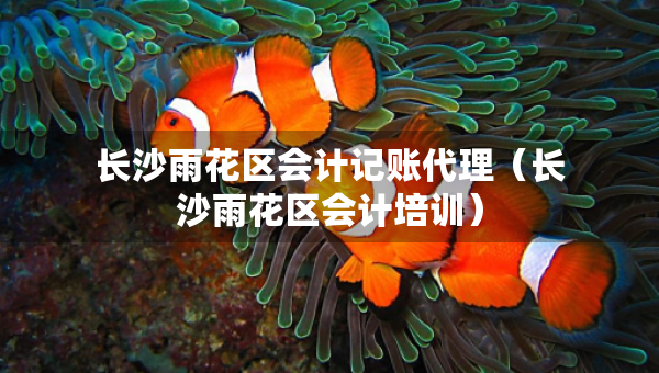 長沙雨花區(qū)會計記賬代理（長沙雨花區(qū)會計培訓(xùn)）