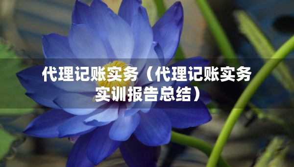 代理記賬實(shí)務(wù)（代理記賬實(shí)務(wù)實(shí)訓(xùn)報(bào)告總結(jié)）