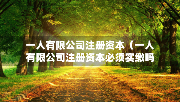 一人有限公司注冊資本（一人有限公司注冊資本必須實(shí)繳嗎）
