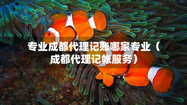 專(zhuān)業(yè)成都代理記賬哪家專(zhuān)業(yè)（成都代理記帳服務(wù)）