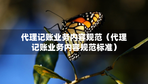 代理記賬業(yè)務內容規(guī)范（代理記賬業(yè)務內容規(guī)范標準）