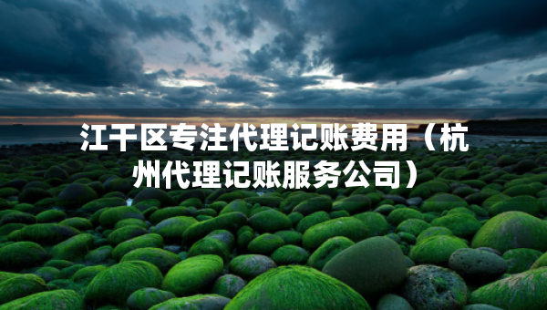 江干區(qū)專注代理記賬費(fèi)用（杭州代理記賬服務(wù)公司）