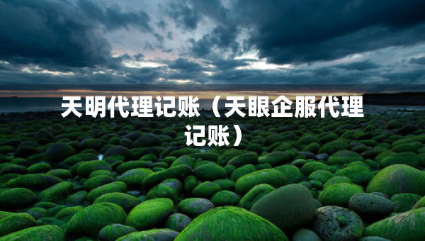 天明代理記賬（天眼企服代理記賬）