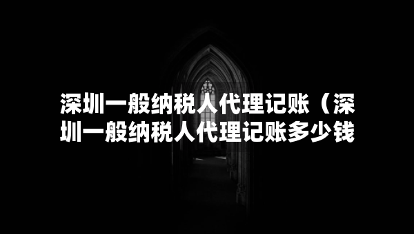 深圳一般納稅人代理記賬（深圳一般納稅人代理記賬多少錢一月）
