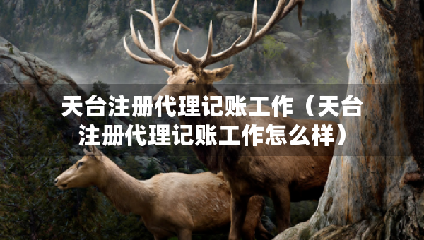 天臺注冊代理記賬工作（天臺注冊代理記賬工作怎么樣）