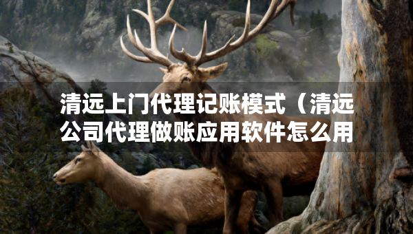 清遠(yuǎn)上門代理記賬模式（清遠(yuǎn)公司代理做賬應(yīng)用軟件怎么用）