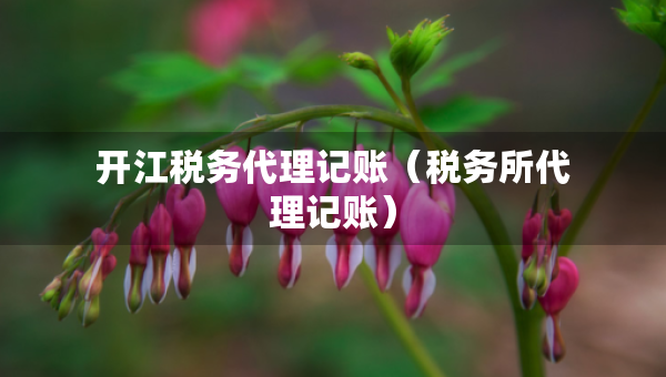開江稅務(wù)代理記賬（稅務(wù)所代理記賬）