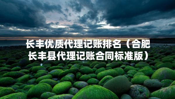 長豐優(yōu)質(zhì)代理記賬排名（合肥長豐縣代理記賬合同標準版）