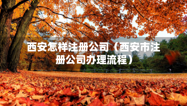 西安怎樣注冊公司（西安市注冊公司辦理流程）