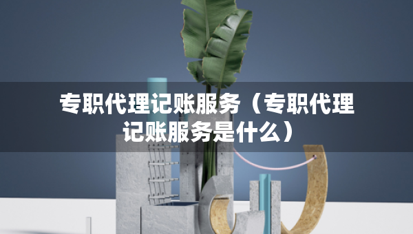 專職代理記賬服務（專職代理記賬服務是什么）
