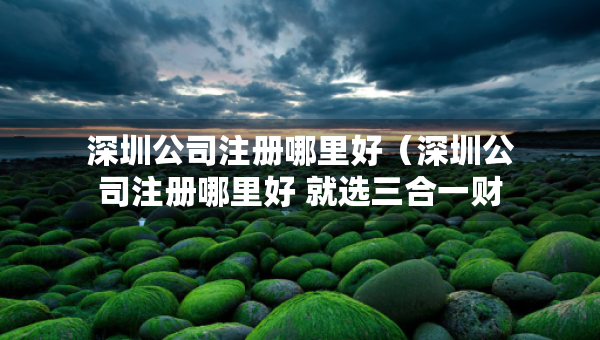 深圳公司注冊(cè)哪里好（深圳公司注冊(cè)哪里好 就選三合一財(cái)稅）