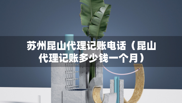 蘇州昆山代理記賬電話（昆山代理記賬多少錢一個(gè)月）