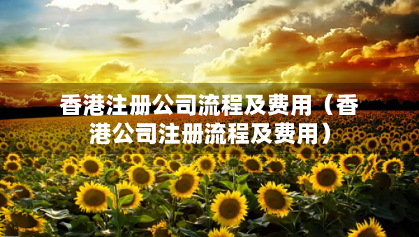 香港注冊公司流程及費用（香港公司注冊流程及費用）
