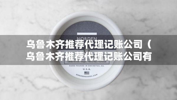 烏魯木齊推薦代理記賬公司（烏魯木齊推薦代理記賬公司有哪些）