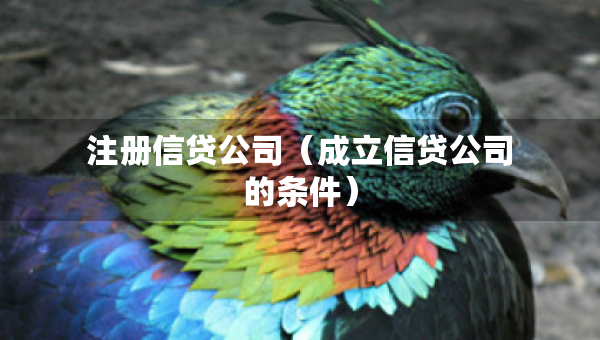 注冊(cè)信貸公司（成立信貸公司的條件）