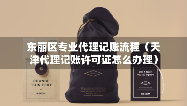 東麗區(qū)專業(yè)代理記賬流程（天津代理記賬許可證怎么辦理）