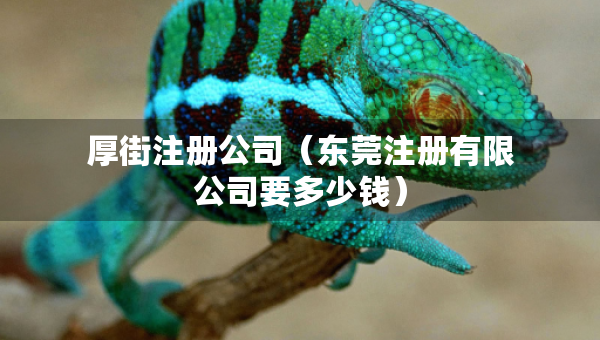 厚街注冊(cè)公司（東莞注冊(cè)有限公司要多少錢(qián)）