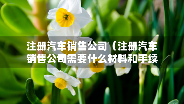 注冊汽車銷售公司（注冊汽車銷售公司需要什么材料和手續(xù)）