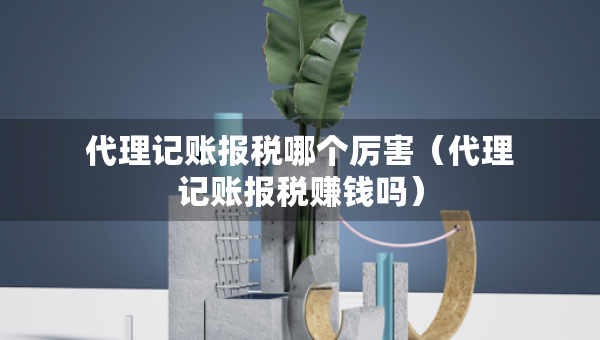 代理記賬報(bào)稅哪個(gè)厲害（代理記賬報(bào)稅賺錢嗎）