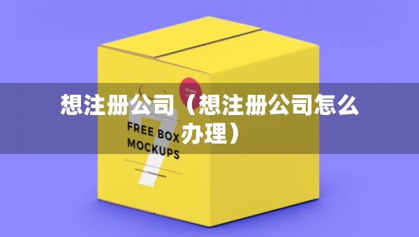 想注冊(cè)公司（想注冊(cè)公司怎么辦理）