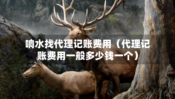 響水找代理記賬費用（代理記賬費用一般多少錢一個）