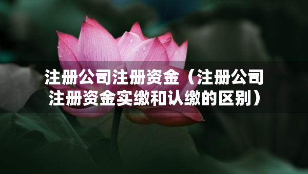注冊公司注冊資金（注冊公司注冊資金實繳和認(rèn)繳的區(qū)別）