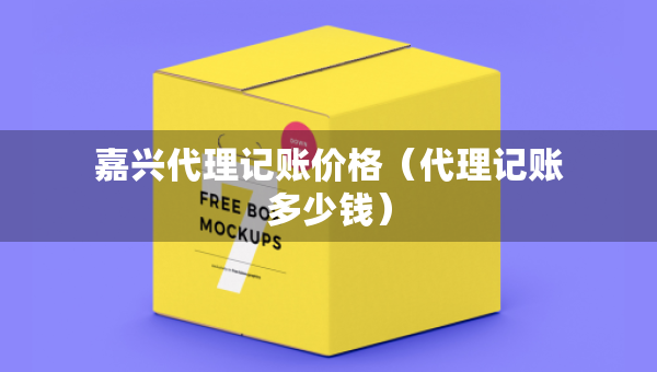 嘉興代理記賬價格（代理記賬多少錢）