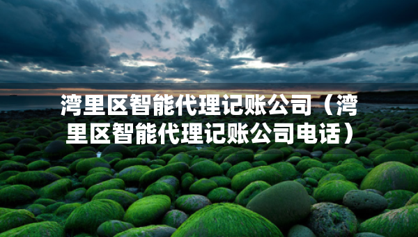 灣里區(qū)智能代理記賬公司（灣里區(qū)智能代理記賬公司電話）