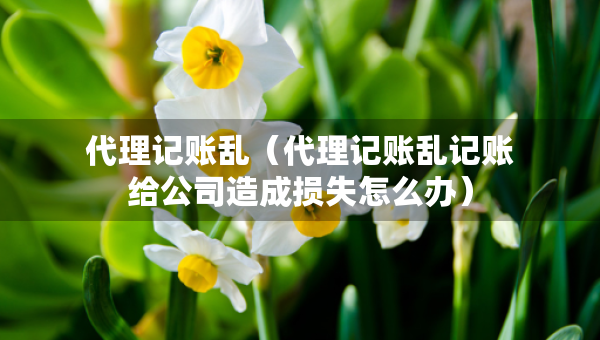 代理記賬亂（代理記賬亂記賬給公司造成損失怎么辦）