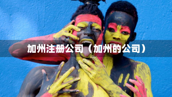 加州注冊公司（加州的公司）