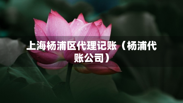 上海楊浦區(qū)代理記賬（楊浦代賬公司）