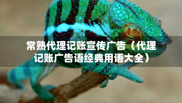 常熟代理記賬宣傳廣告（代理記賬廣告語經(jīng)典用語大全）