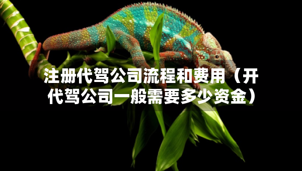 注冊代駕公司流程和費(fèi)用（開代駕公司一般需要多少資金）