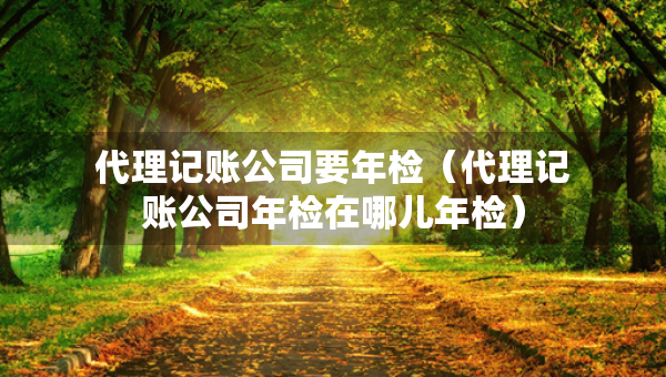 代理記賬公司要年檢（代理記賬公司年檢在哪兒年檢）