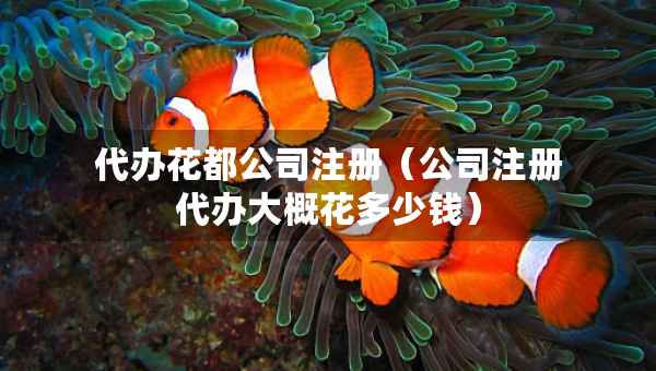 代辦花都公司注冊(cè)（公司注冊(cè)代辦大概花多少錢）