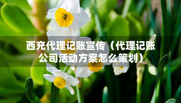 西充代理記賬宣傳（代理記賬公司活動方案怎么策劃）