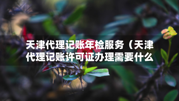 天津代理記賬年檢服務(wù)（天津代理記賬許可證辦理需要什么條件）
