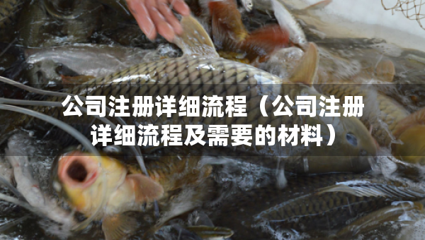 公司注冊(cè)詳細(xì)流程（公司注冊(cè)詳細(xì)流程及需要的材料）