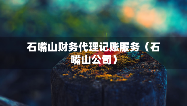 石嘴山財(cái)務(wù)代理記賬服務(wù)（石嘴山公司）