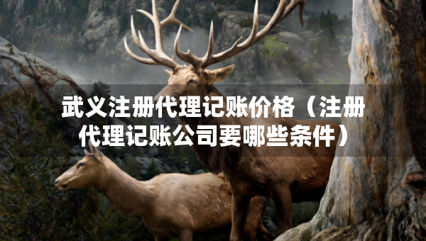 武義注冊代理記賬價格（注冊代理記賬公司要哪些條件）