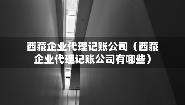 西藏企業(yè)代理記賬公司（西藏企業(yè)代理記賬公司有哪些）
