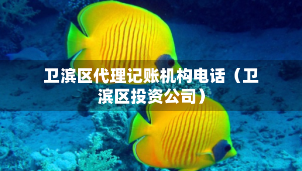 衛(wèi)濱區(qū)代理記賬機(jī)構(gòu)電話（衛(wèi)濱區(qū)投資公司）