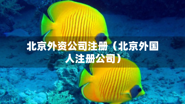 北京外資公司注冊(cè)（北京外國(guó)人注冊(cè)公司）