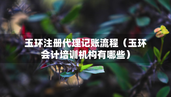 玉環(huán)注冊(cè)代理記賬流程（玉環(huán)會(huì)計(jì)培訓(xùn)機(jī)構(gòu)有哪些）