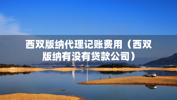 西雙版納代理記賬費用（西雙版納有沒有貸款公司）