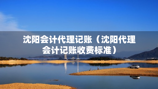 沈陽(yáng)會(huì)計(jì)代理記賬（沈陽(yáng)代理會(huì)計(jì)記賬收費(fèi)標(biāo)準(zhǔn)）
