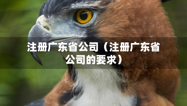 注冊廣東省公司（注冊廣東省公司的要求）
