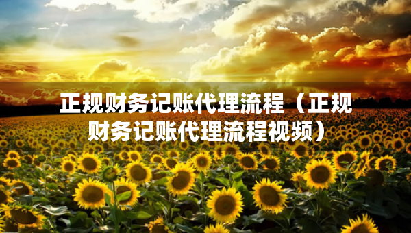 正規(guī)財(cái)務(wù)記賬代理流程（正規(guī)財(cái)務(wù)記賬代理流程視頻）